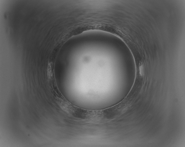 X0000074211347200608251052