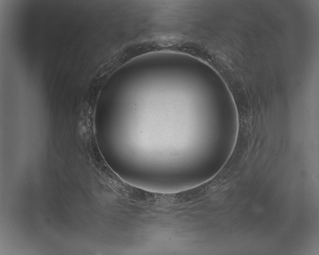 X0000074211349200608251052