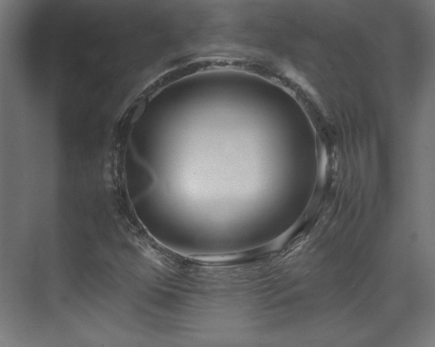 X0000074211352200608251052