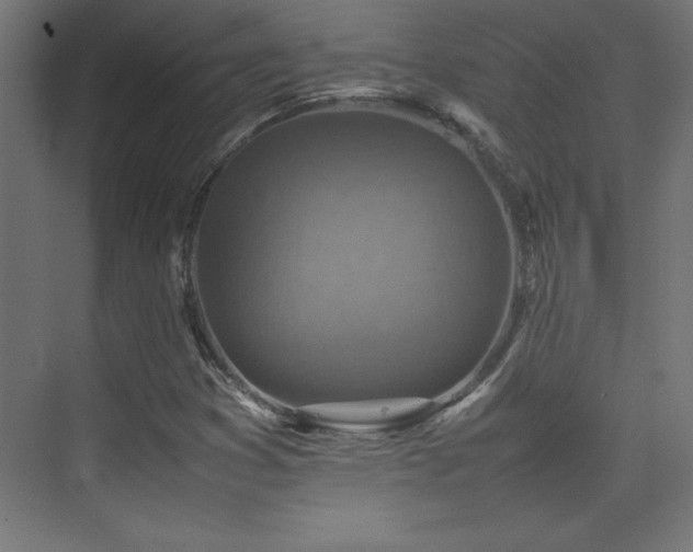 X0000074211353200608251052