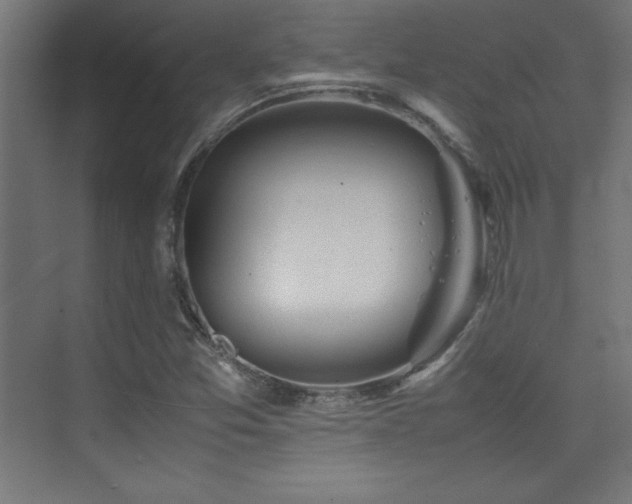 X0000074211357200608251052