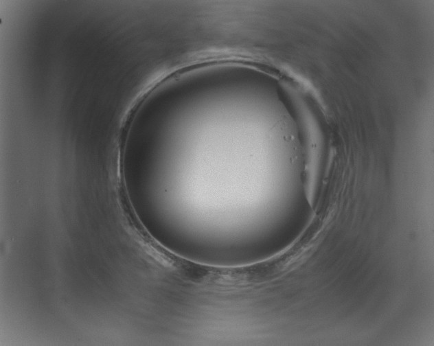 X0000074211365200608251052