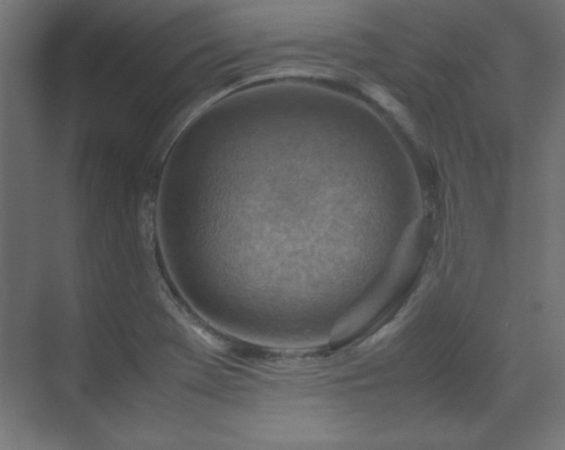 X0000074211369200608251051