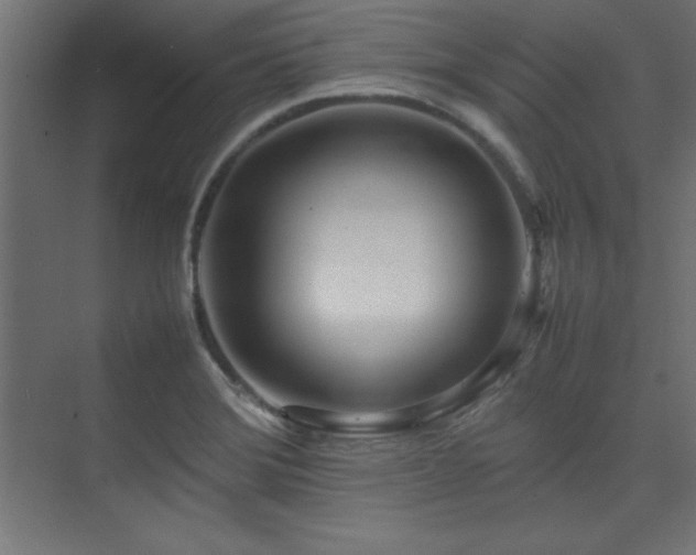 X0000074211372200608251051