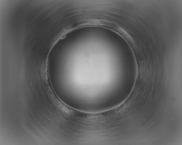 X0000074211378200608251051