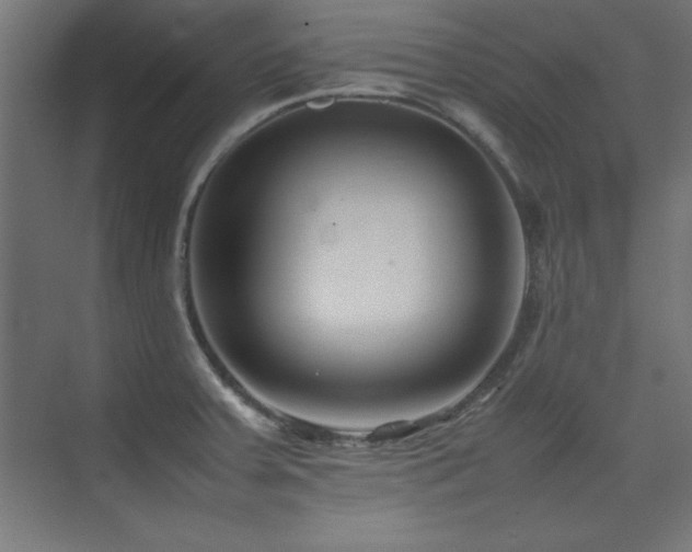 X0000074211379200608251051