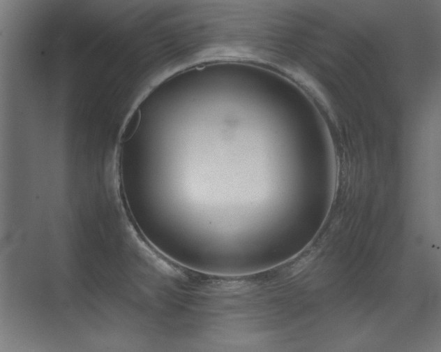 X0000074211382200608251051