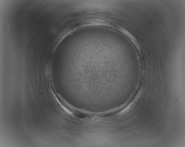 X0000074211385200608251051