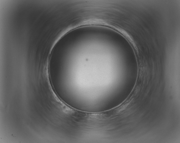 X0000074211390200608251051