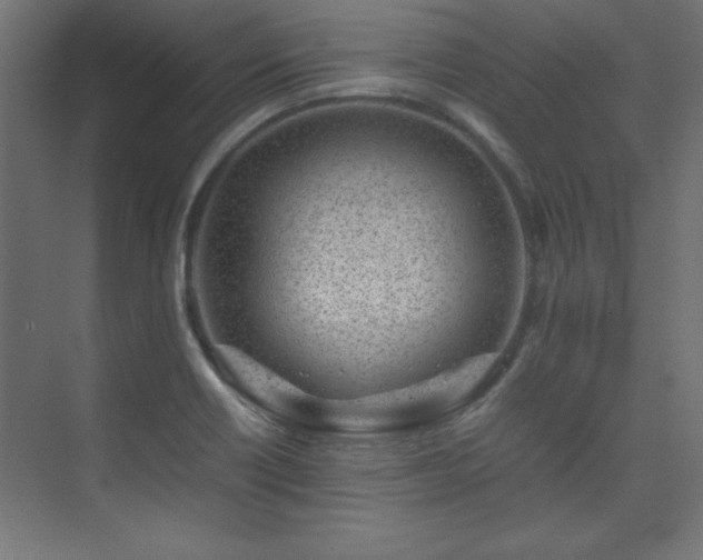 X0000074211418200608251051