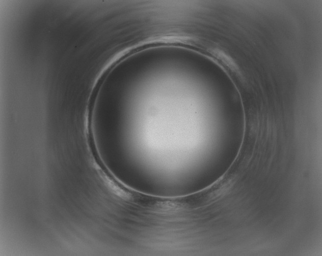 X0000074211420200608251051