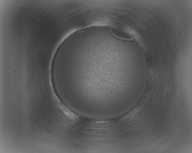 X0000074211427200608251051