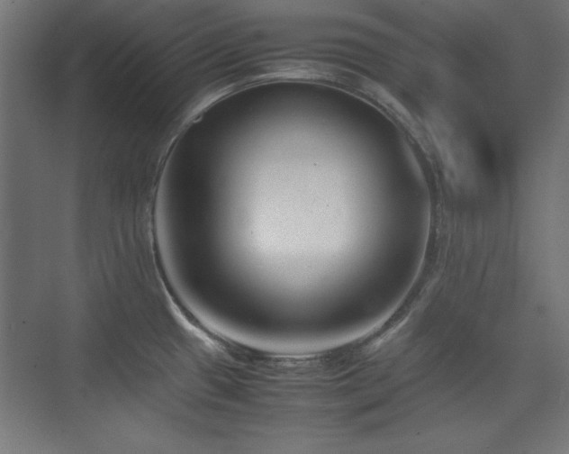 X0000074211433200608251051