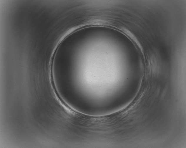 X0000074211437200608251051