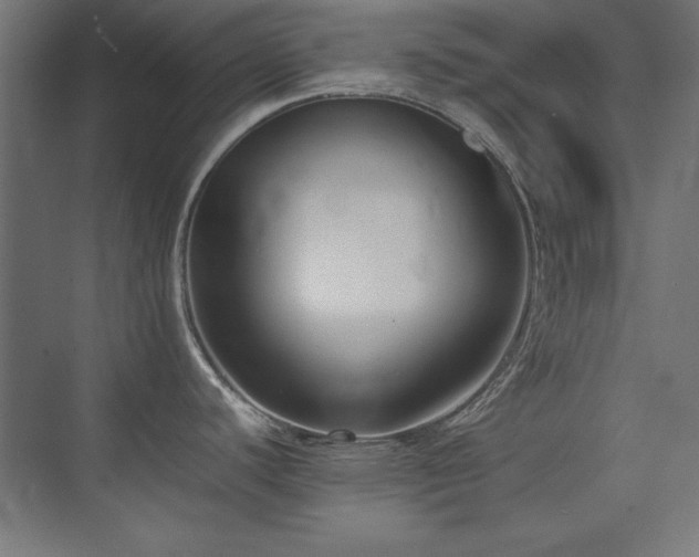 X0000074211440200608251051