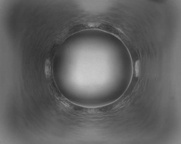 X0000074211443200608251050