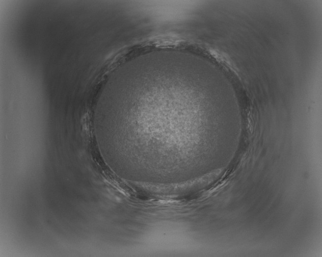 X0000074211445200608251050
