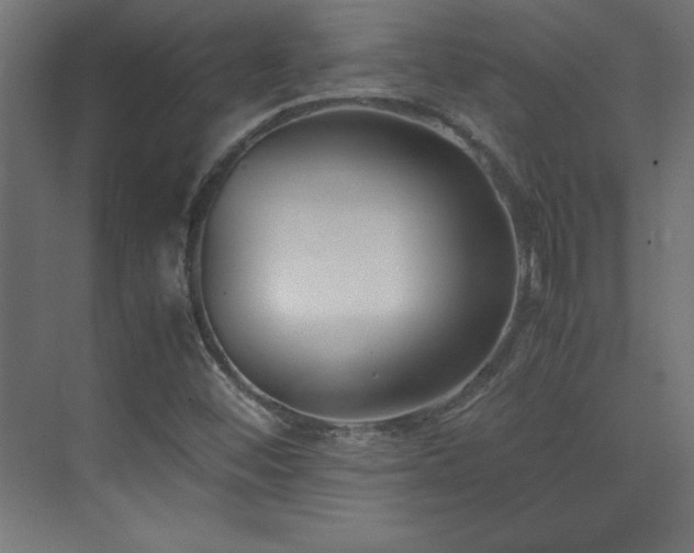 X0000074211452200608251050