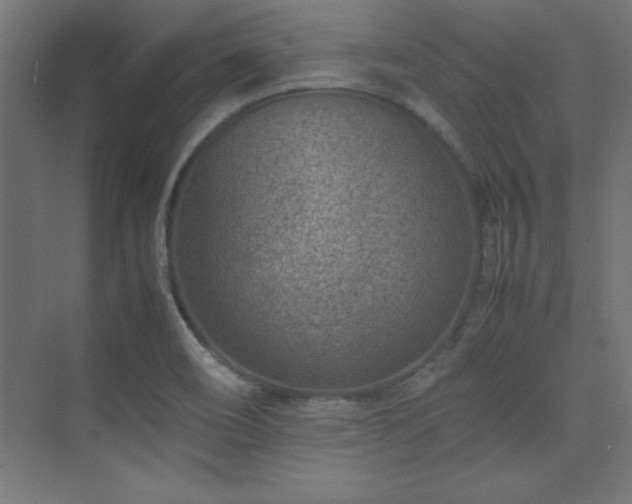 X0000074211466200608251050