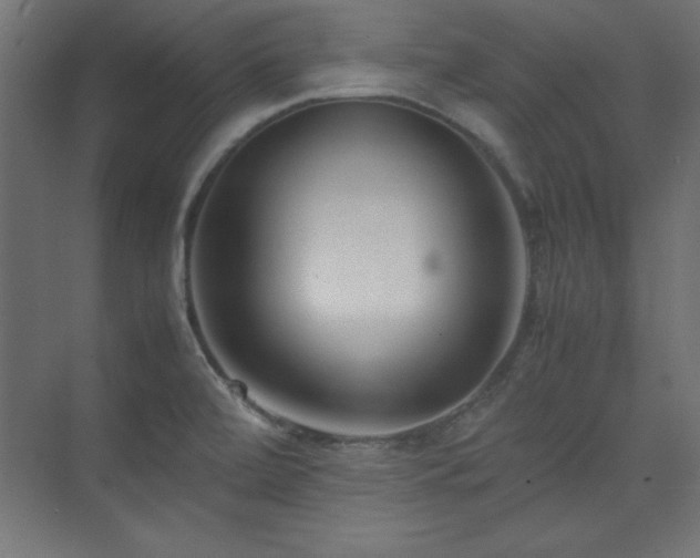 X0000074211472200608251050
