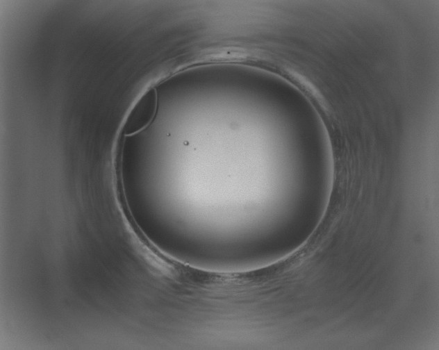 X0000074211475200608251050