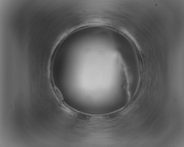 X0000074211477200608251050