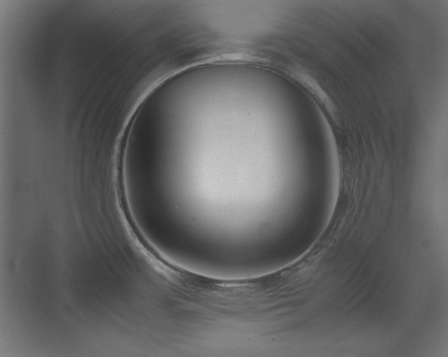 X0000074211483200608251050