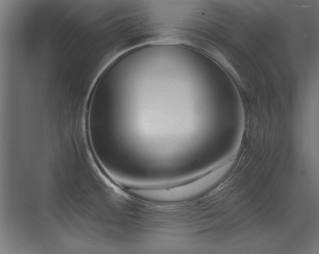 X0000074211484200608251050