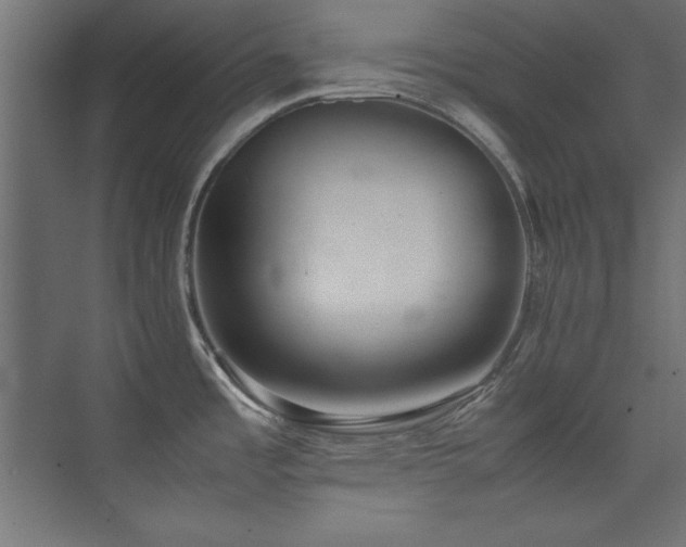X0000074211485200608251050