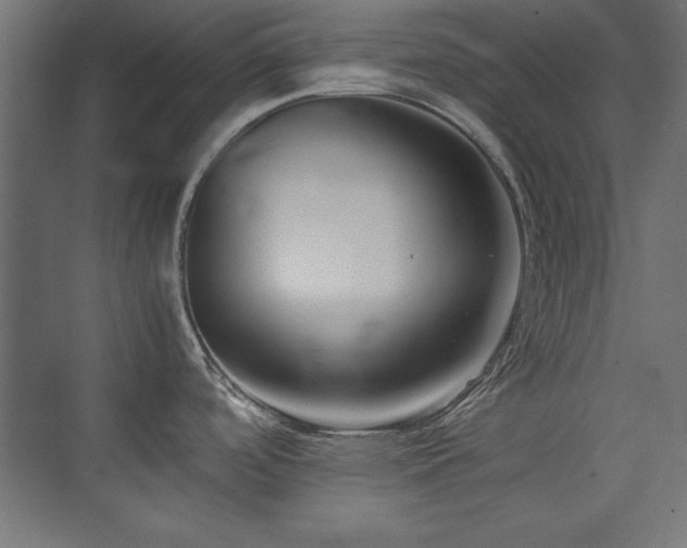 X0000074211488200608251049