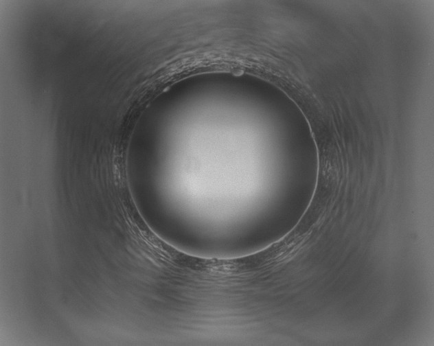 X0000074211490200608251049