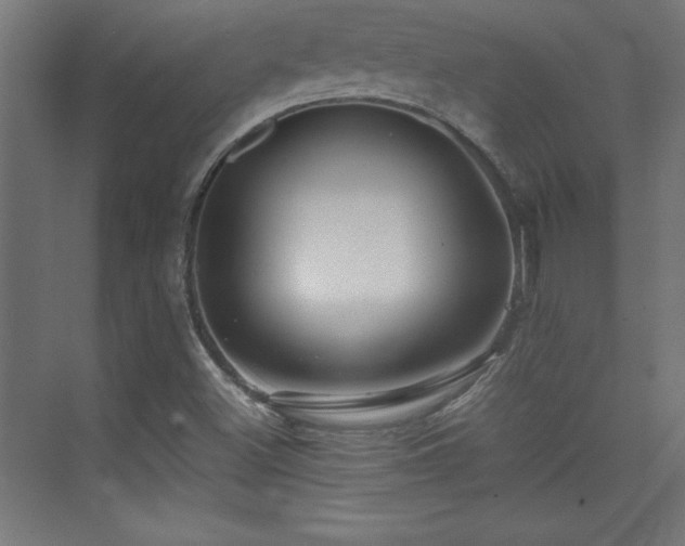 X0000074211500200608251049