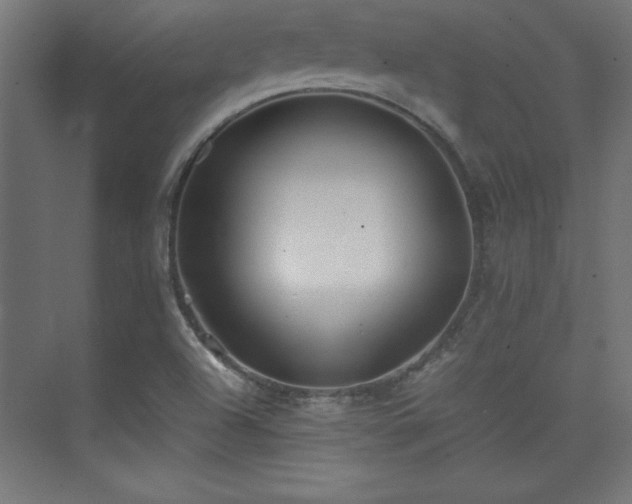 X0000074211504200608251049
