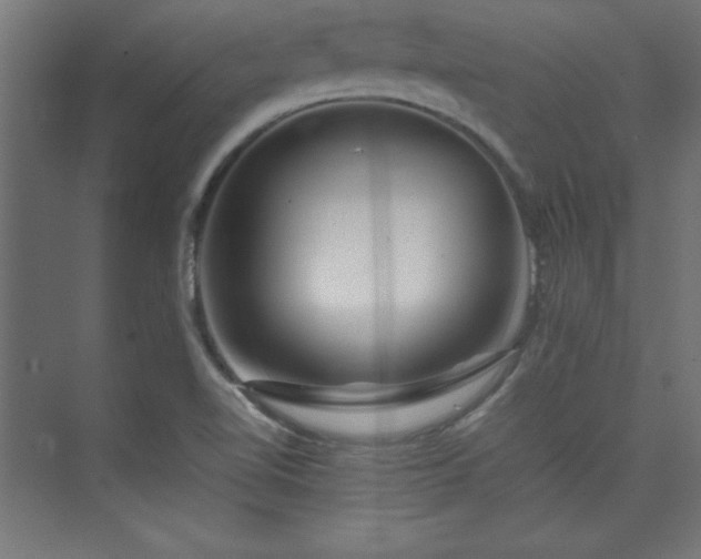 X0000074211510200608251049