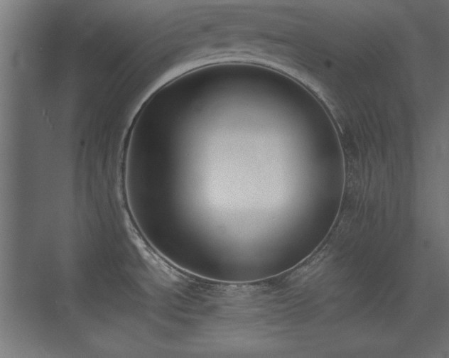 X0000074211534200608251049