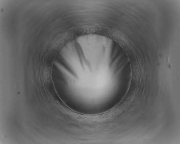 X0000074210034200609011203