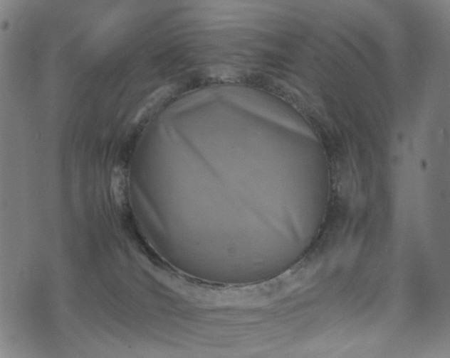 X0000074210036200609011203