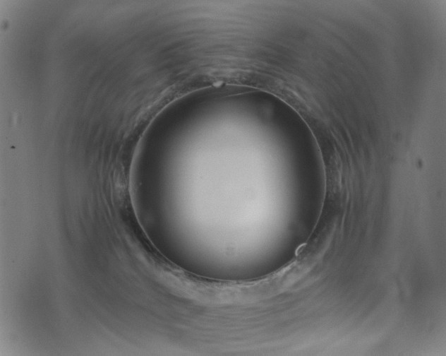 X0000074210040200609011203
