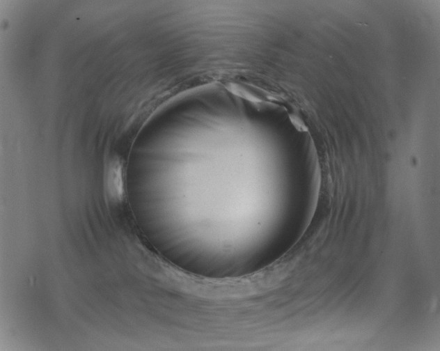 X0000074210042200609011203