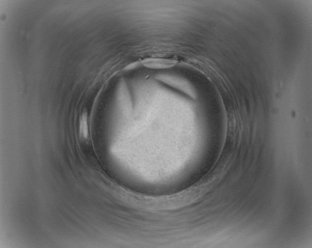 X0000074210046200609011202