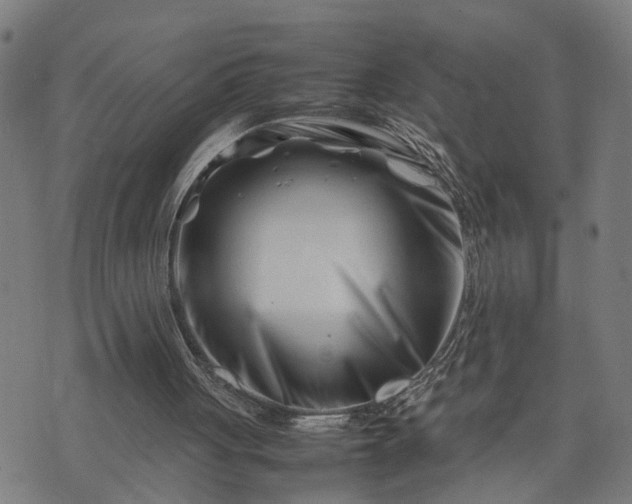 X0000074210051200609011202