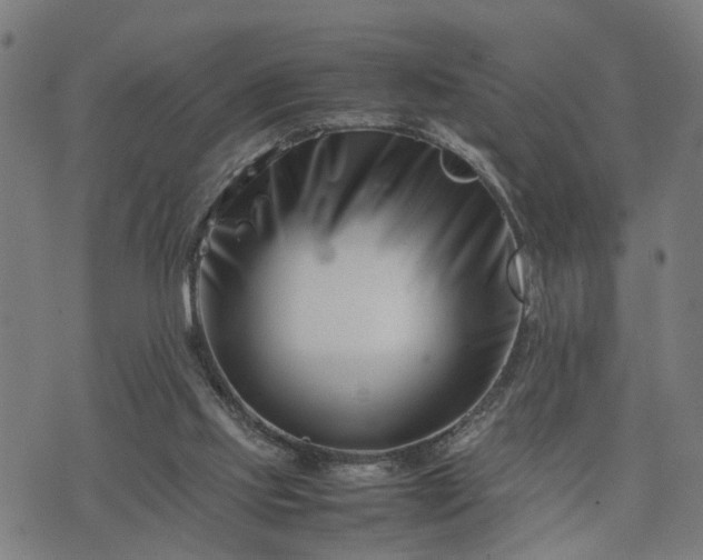 X0000074210061200609011202