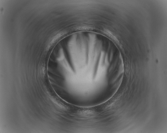 X0000074210063200609011202
