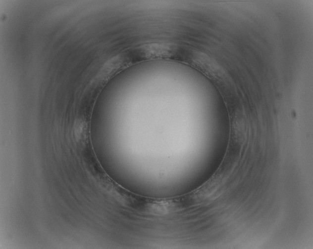 X0000074210079200609011202
