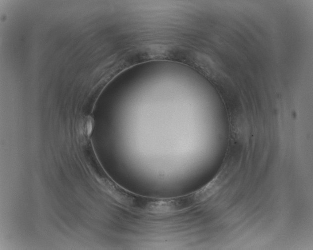 X0000074210082200609011202