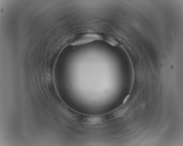 X0000074210085200609011202