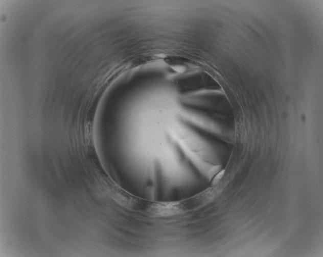 X0000074210093200609011202