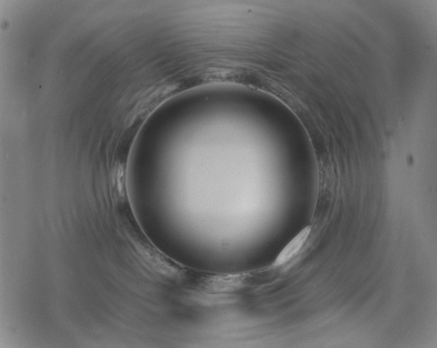 X0000074210094200609011202