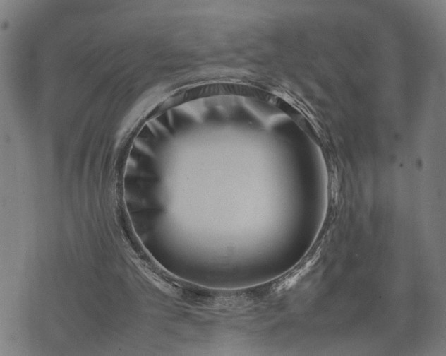 X0000074210101200609011202