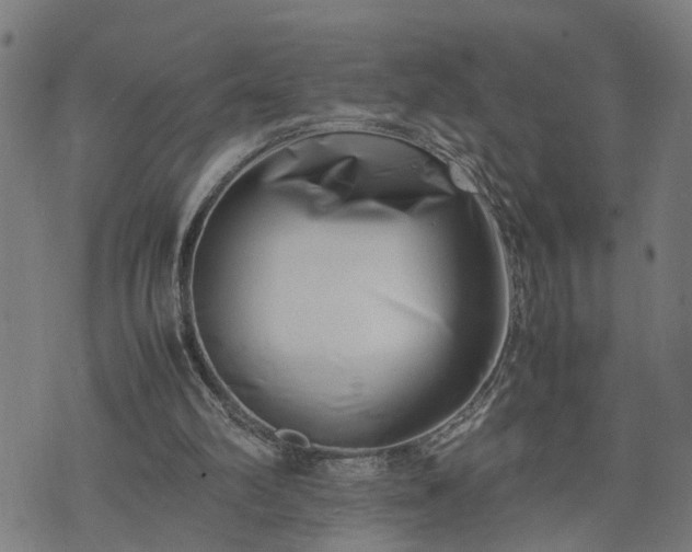 X0000074210102200609011202